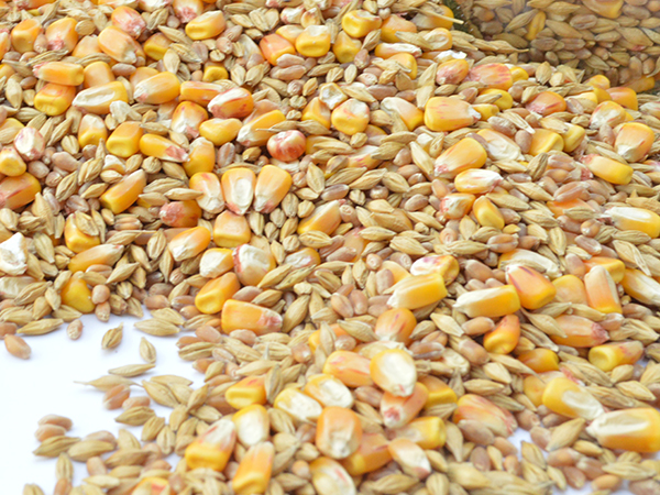 重金屬檢測(cè)產(chǎn)品